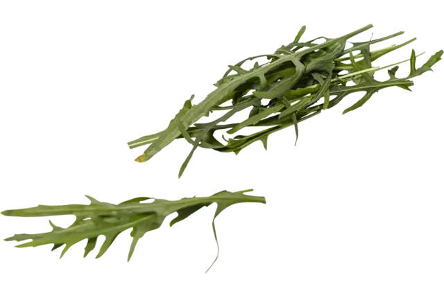 Wild arugula melange 125gr piece